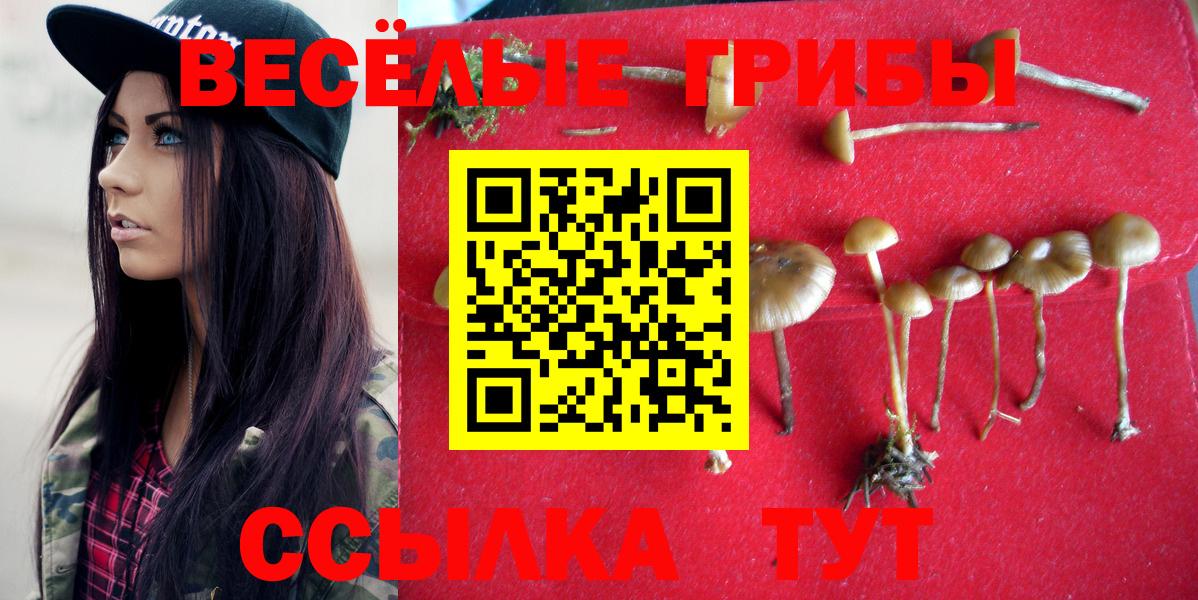 Галлюциногенные грибы MAGIC MUSHROOMS Петрозаводск